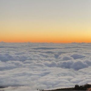 Meet your Posher, Lucy